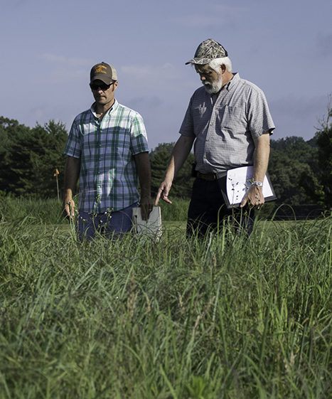 PhD student Johhny Richwine and professor Pat Keyser inspect a field of tall native grasses.