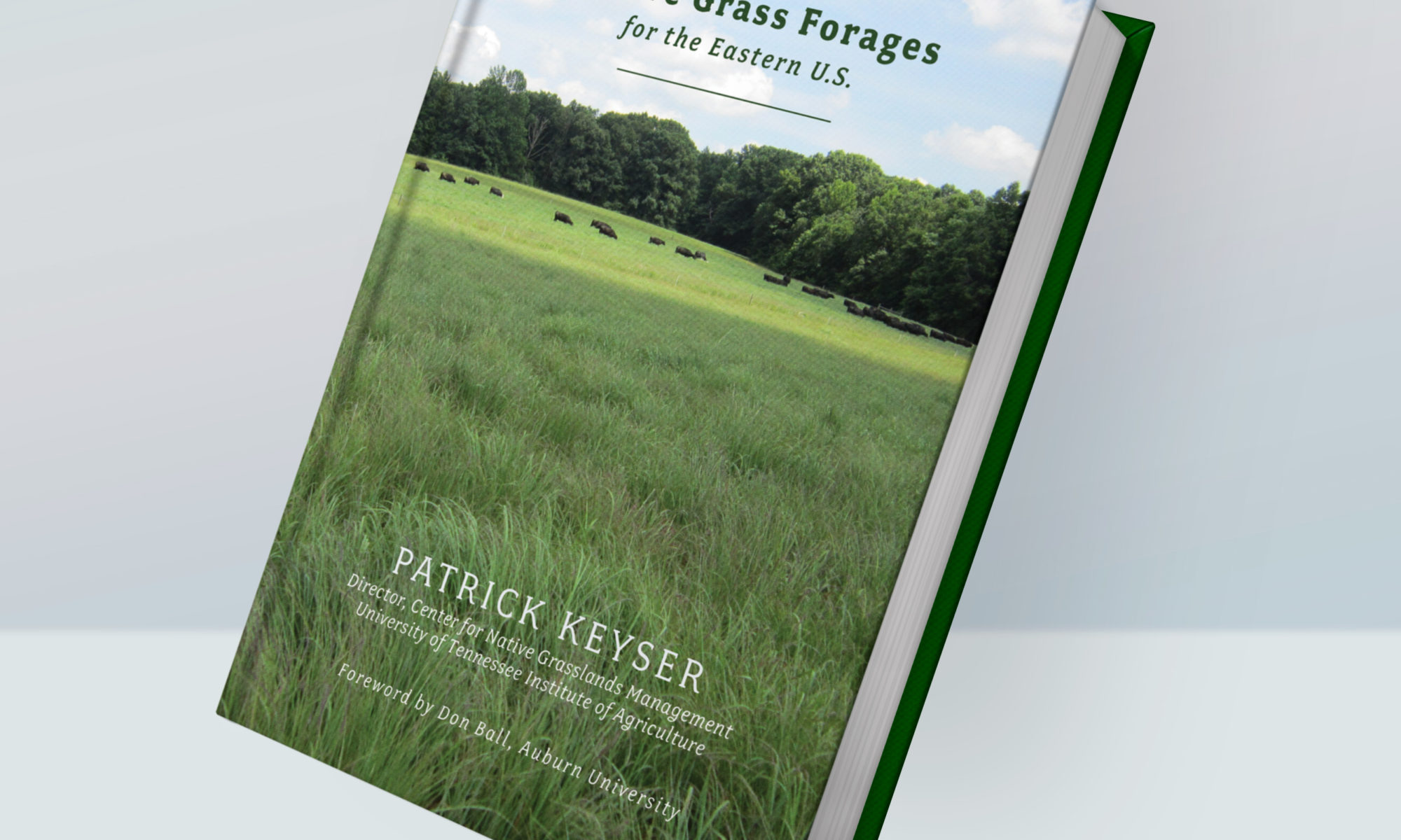 A mock up of the book Native Grass Forages for the Eastern US.