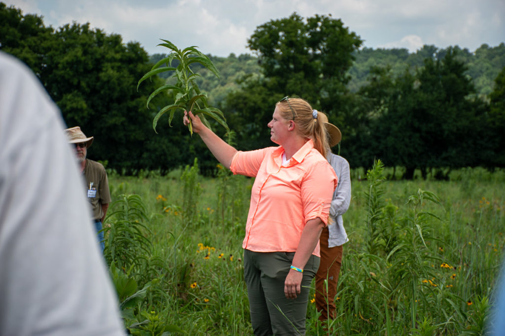 Woman holds up plant to show people in cattle pasture.