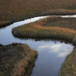 Stream flows through grassland.